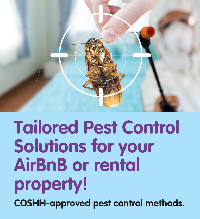 Pest Control for Landlords & Airbnb Hosts in Hampton Hill TW12 & throughout West London